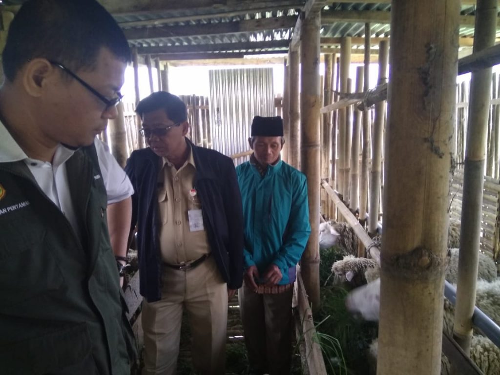 Pengembangan Korporasi Usaha Tani di Desa Jojogan Wonosobo